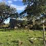 Old Ponderosa Ranch
