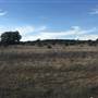 Old Ponderosa Ranch