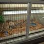 Animal World and Snake Farm