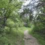 Cedar Hill State Park - Talala Trail
