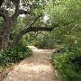 Zilker Botanical Gardens