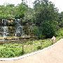 Zilker Botanical Gardens