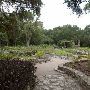 Zilker Botanical Gardens