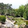 Zilker Botanical Gardens
