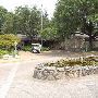 Zilker Botanical Gardens