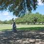 Liberty Hill Sculpture Garden