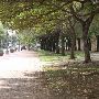 San Antonio