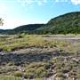 Madrone Ranch