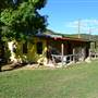 Madrone Ranch