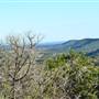 Madrone Ranch