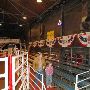 Billy Bob's Texas