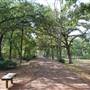 Quitman Arboretum