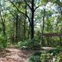 Quitman Arboretum