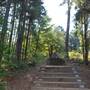 Tyler State Park