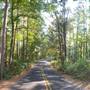 Tyler State Park