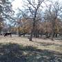 Henly Hill Ranch