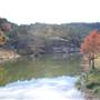 Henly Hill Ranch