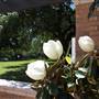 McLennan Community College