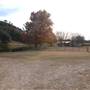Longhorn River Ranch