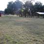 Longhorn River Ranch