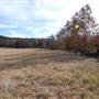 Longhorn River Ranch