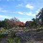 Longhorn River Ranch