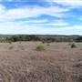 Longhorn River Ranch
