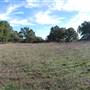 Longhorn River Ranch