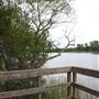 Lake Bastrop - South Shore Park