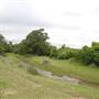 Storm Ranch
