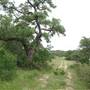 Storm Ranch