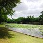 Lakeside Park