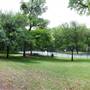 Davis Park
