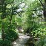 Davis Park