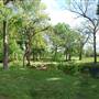 Harry Moss Park