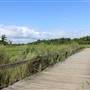 Seabrook Hike & Bike Trails