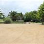 Robinson Park