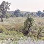 Arrington Ranch