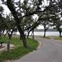Hancock Park