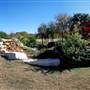 Texas Old Town