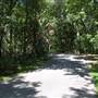 Palmetto State Park