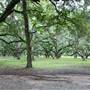 Le Tulle Park