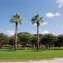 Palacios City Park