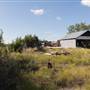 Fuller’s Folly River Ranch