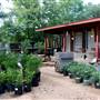 Hill Country Water Gardens & Nursery
