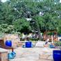 Hill Country Water Gardens & Nursery