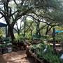 Hill Country Water Gardens & Nursery