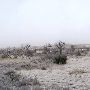 Mendota Ranch