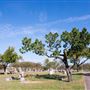 Manor City Cemetery