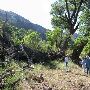 Kokernot o6 Ranch